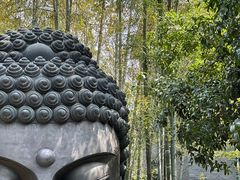 -杭州植物园