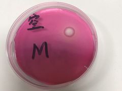 -徐州胡氏火烧(东大成贤店)