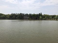 -上海鲜花港