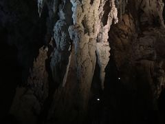 -怀托摩萤火虫洞