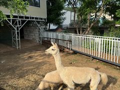 -丽泽山庄·生态怀柔菜·虹鳟鱼(红螺寺店)