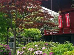 -东京国立博物馆