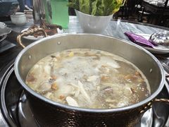 -鸽鸟轩(石岐店)