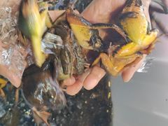 -记忆串城·东北烧烤·小龙虾·大型团建(南油店)