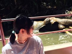 -加州迪士尼乐园