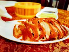 -六和聚传统烤鸭.天津菜(和平店)