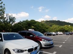 -上海佘山国家森林公园东门地面停车场