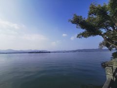 -杭州西湖柳莺里酒店·闻莺厅