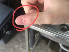 -柴犬高等学院·狗咖·柴犬售卖·宠物训练