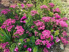 -新天地活力PARK