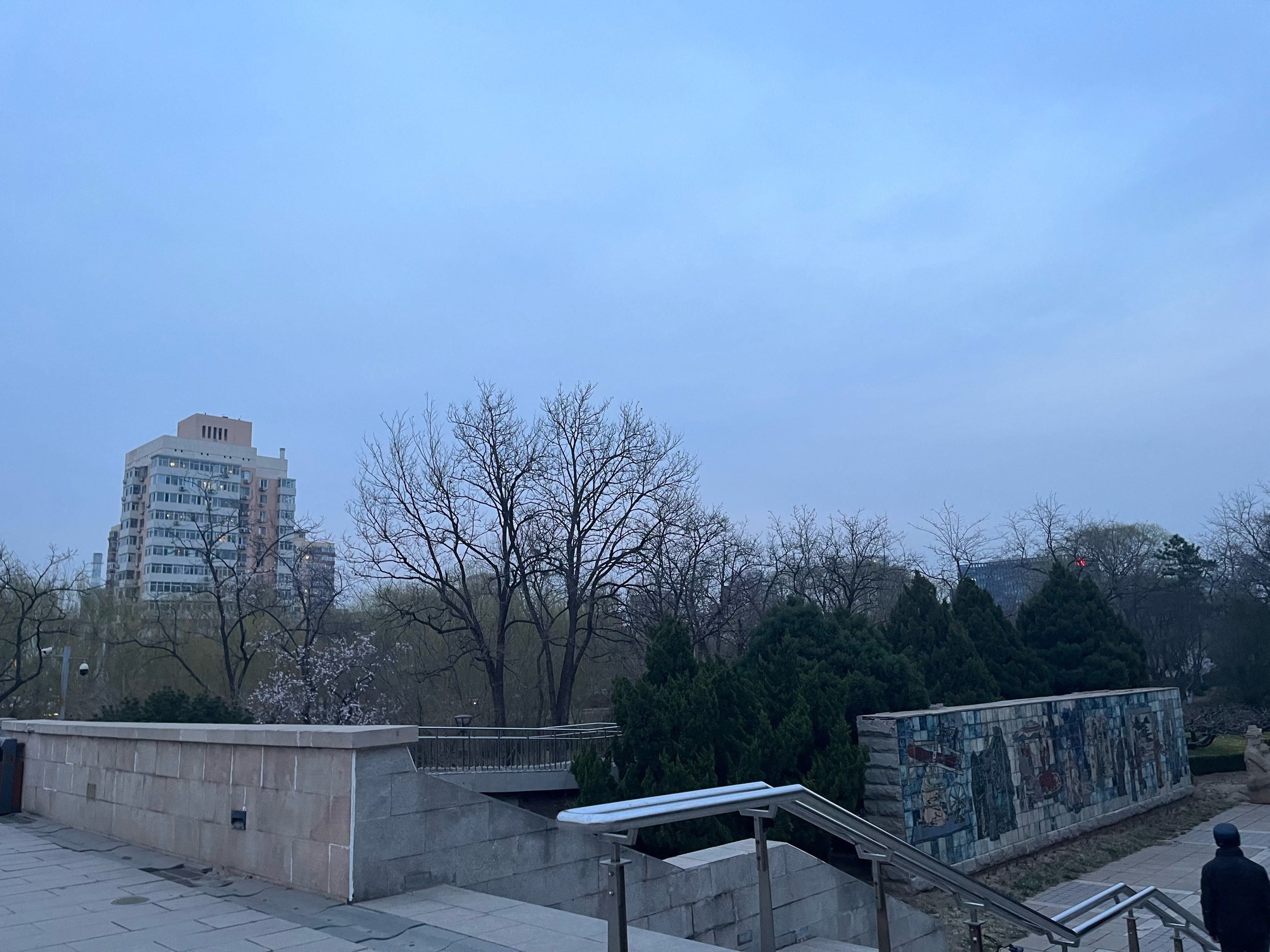 元大都的樱花开了,即将进入海棠花溪