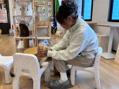 -有喵·猫咖·狗咖·30几只猫10只小狗(岗厦店)