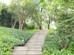 -广州七星岗古海岸遗址科学公园