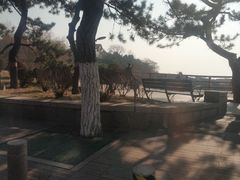 -青岛第三海水浴场