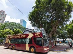 -Big Bus Tours 敞篷观光巴士