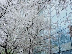 -北京广电国际酒店