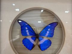 -深圳龙华星河COCO City(民治店)