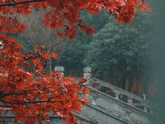 -慧因高丽寺