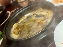 乌骨鸡野生菌汤锅底-滇野云南野生菌餐厅(陕西南路店)