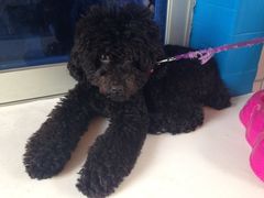 iphone_upload_pic-厦门燕子坞客栈