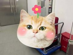 -好易仓迷你仓私人小仓库(大宁店)