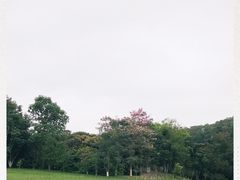 -东莞植物园