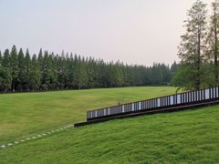 -黄海国家森林公园