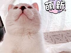 -西贝莜面村(金隅嘉品mall店)