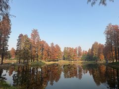-东湖落雁景区