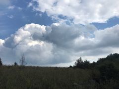 景点-白草畔自然风景区