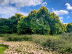 -哈尔滨北方森林动物园