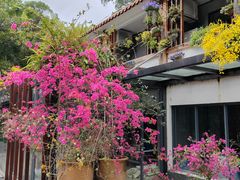 -深圳仙湖植物园