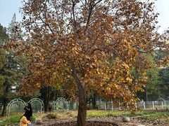 -国家植物园南园