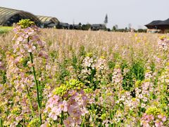 -中国天府农业博览园