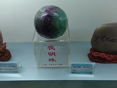 -甘肃地质博物馆