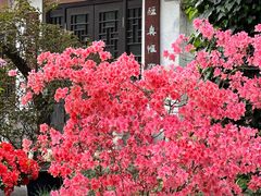 -惠山古镇·寄畅园