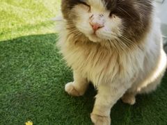 -小鱼草莓采摘园农家乐·小鱼餐厅