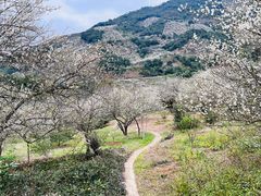 -福建天门山
