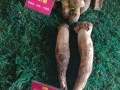 -朱家小厨(红塔西路店)