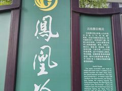 -北京凤凰岭