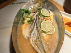 -佬肥猫(国华广场店)