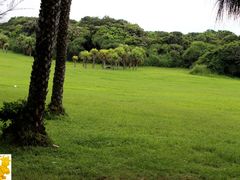 -鹅銮鼻公园