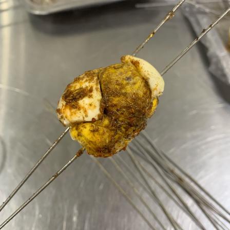 0 长这么大第一次吃烤毛蛋 味道还不错 吃的时候卡卡上面的料 很嫩