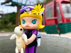 -大泽山风景名胜区