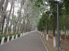 -东郊湿地公园