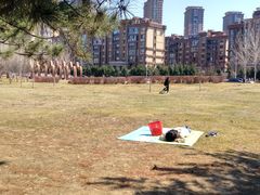 -蒲河岛湿地公园