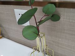 -禾谷韩餐(热带海洋学院店)