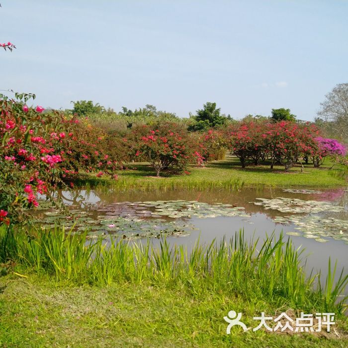 中國科學院西雙版納熱帶植物園