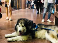 -米莱欧百货(吉利店)