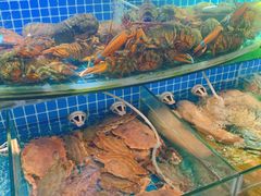 -望海潮海鲜店 特色家常菜(在海一方店)